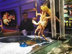 -蟹之国·精品蟹料理(极地店)