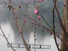 -重庆彩云湖湿地公园