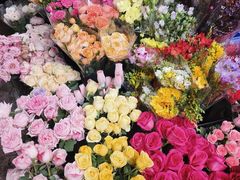 -桂林市花鸟市场