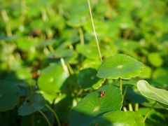 -昆山城市生态森林公园