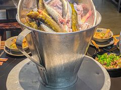 -石锅苗苗鱼(武汉首店)