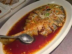 -羲和雅苑•北京烤鸭(乐园道万象城店)