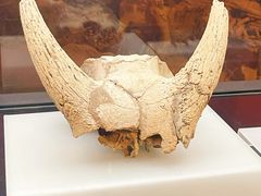 -河姆渡遗址博物馆