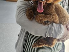 -心仪动物医院·牙专科·肿瘤·心脏科(西客站院)