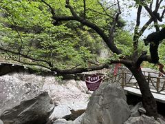 -洛阳白云山景区