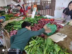 -南国桃园旅游度假区