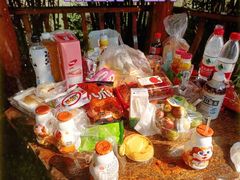 -合肥滨湖国家森林公园