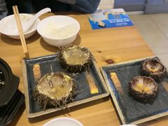 -海胆小馆(东北水饺·春柳店)