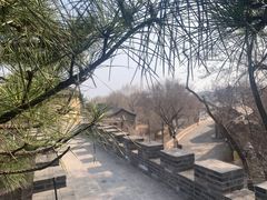 -爱新觉罗皇家博物院