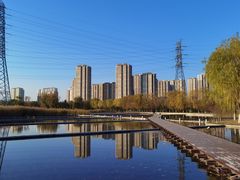 -永定河休闲森林公园