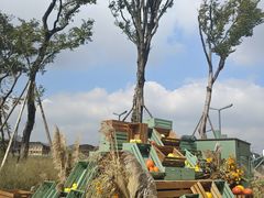 -中国天府农业博览园