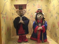 -济州岛泰迪熊博物馆