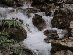 -西岭雪山大飞水景区