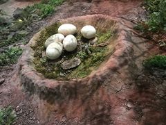 -湖南省地质博物馆