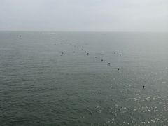 -兴城海滨风景区