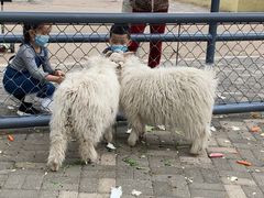 -长白岛森林公园