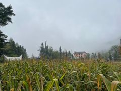 -鹿院坪生态旅游景区