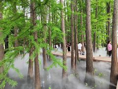 -东湖落雁景区