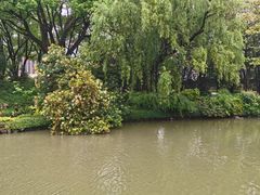 -上海醉白池公园