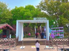 -金鸡湖桃花岛