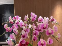 -富淳饭店(陆家嘴保利广场店)