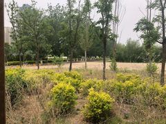 -东坝千亩湖公园