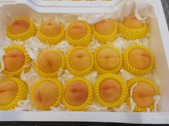 -西郊国际农产品交易中心