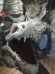 -探洞工场(丰科万达旗舰店)