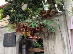 -ChitChat奇洽·Bistro(黎黄陂路店)