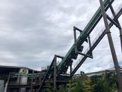 -飞天翼龙