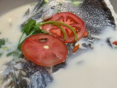 -全乐鱼馆·淳牌有机鱼直营店