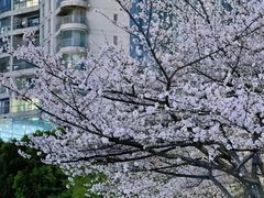-西北湖绿化广场