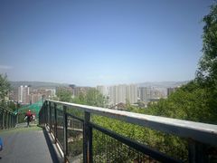 -青藏高原野生动物园