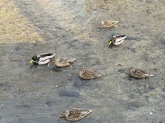 -元大都城垣遗址公园