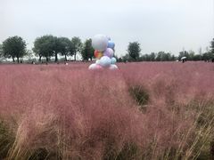 -汉长安城未央宫国家考古遗址公园