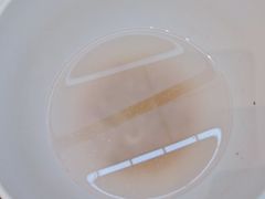 -清真餐厅·回乡麦客