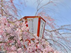 -醍醐寺
