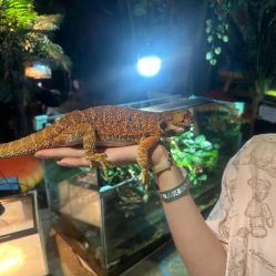 -酷嗒动物文化乐园(cutezoo西溪乐天城店)