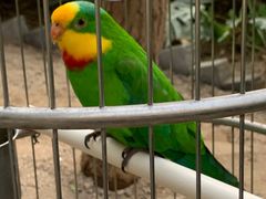 -南宫五洲植物乐园