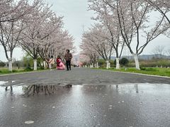 -长田漾湿地公园