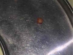 -中农大我爱我爱24h动物医院·中医针灸·猫专科·骨科医疗中心(双井店)