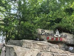 -海口观澜湖火山温泉谷