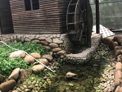 -上海都市菜园
