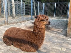 -长白岛森林公园