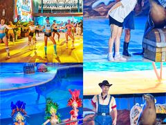 -三亚海昌梦幻海洋不夜城