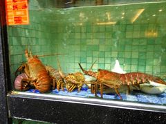 -宝宇大连海鲜渔港(金奎大厦店)