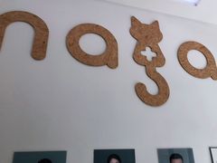 -纳吉亚猫专科动物医院·北北分院