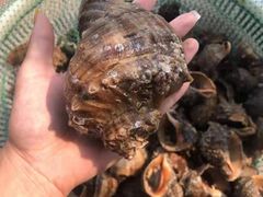 -常家活海鲜小吃(仅一家无分店)