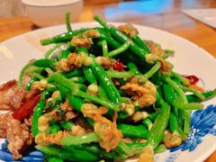 时迁黄瓜芽-兴农记