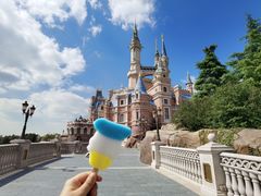 景点-上海迪士尼度假区